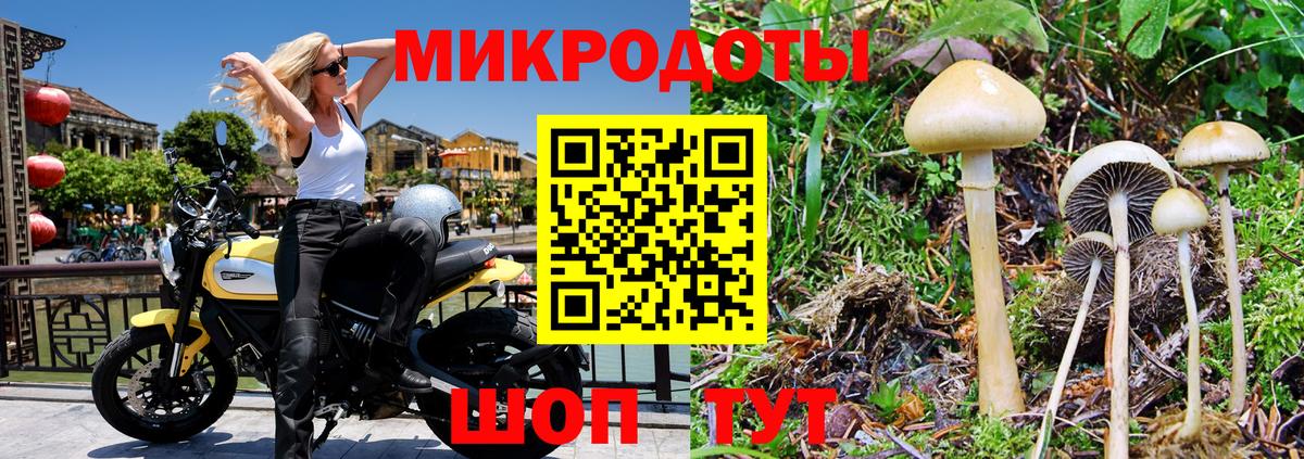 Галлюциногенные грибы Magic Shrooms Симферополь