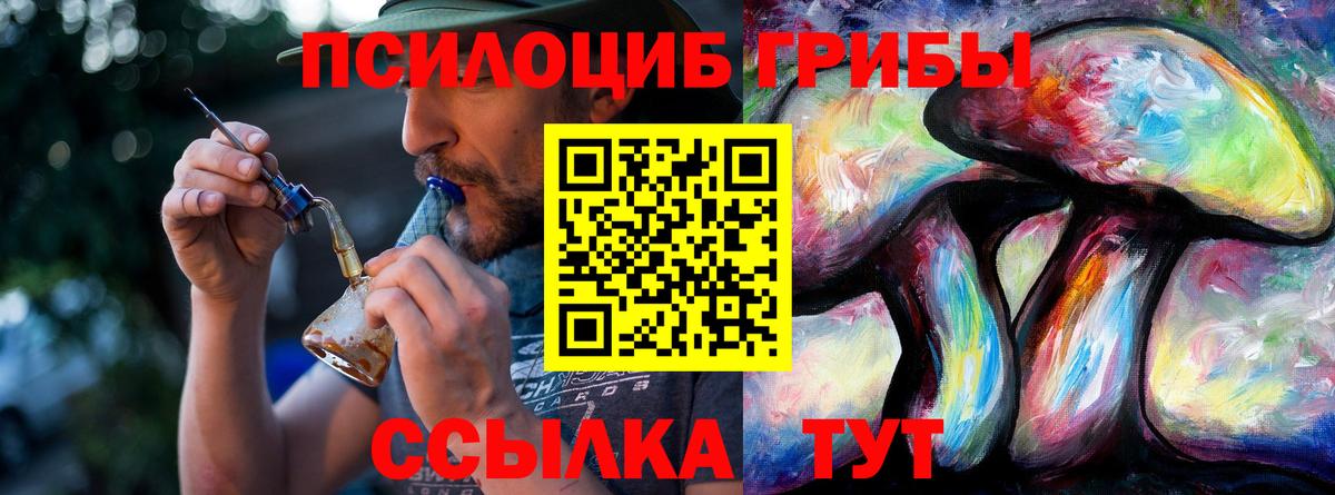 что такое наркотик  Вход с VPN  Симферополь  Псилоцибиновые грибы мицелий 